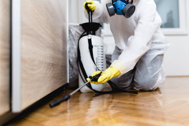 Best Local Pest Control Services  in Wolcott, IN
