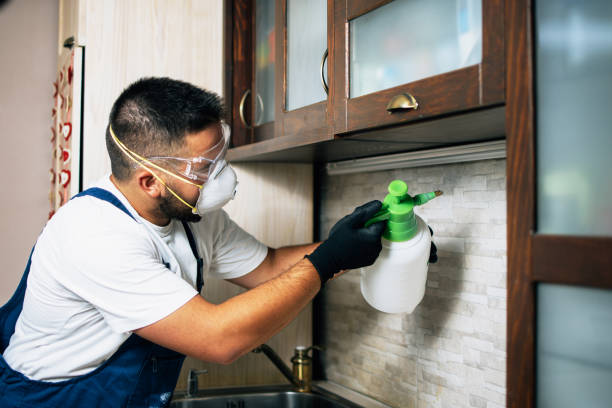 Best Affordable Pest Control Services  in Wolcott, IN