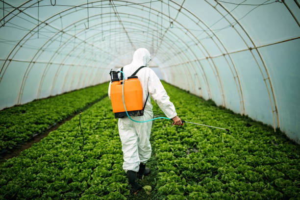 Best Affordable Pest Control Services  in Wolcott, IN