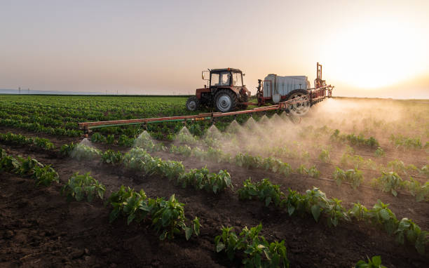 Best Mosquito Control Services  in Wolcott, IN