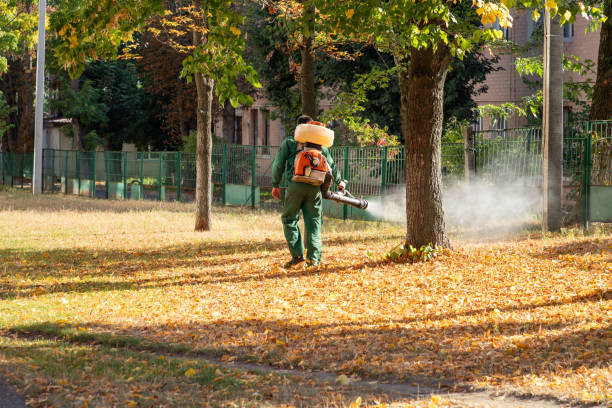 Best Pest Control Treatment  in Wolcott, IN