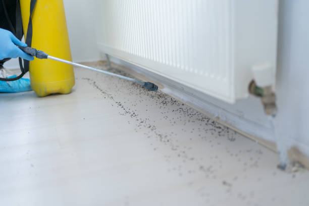 Best Best Pest Control Companies  in Wolcott, IN